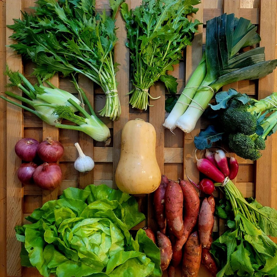 Sample Share Week 20