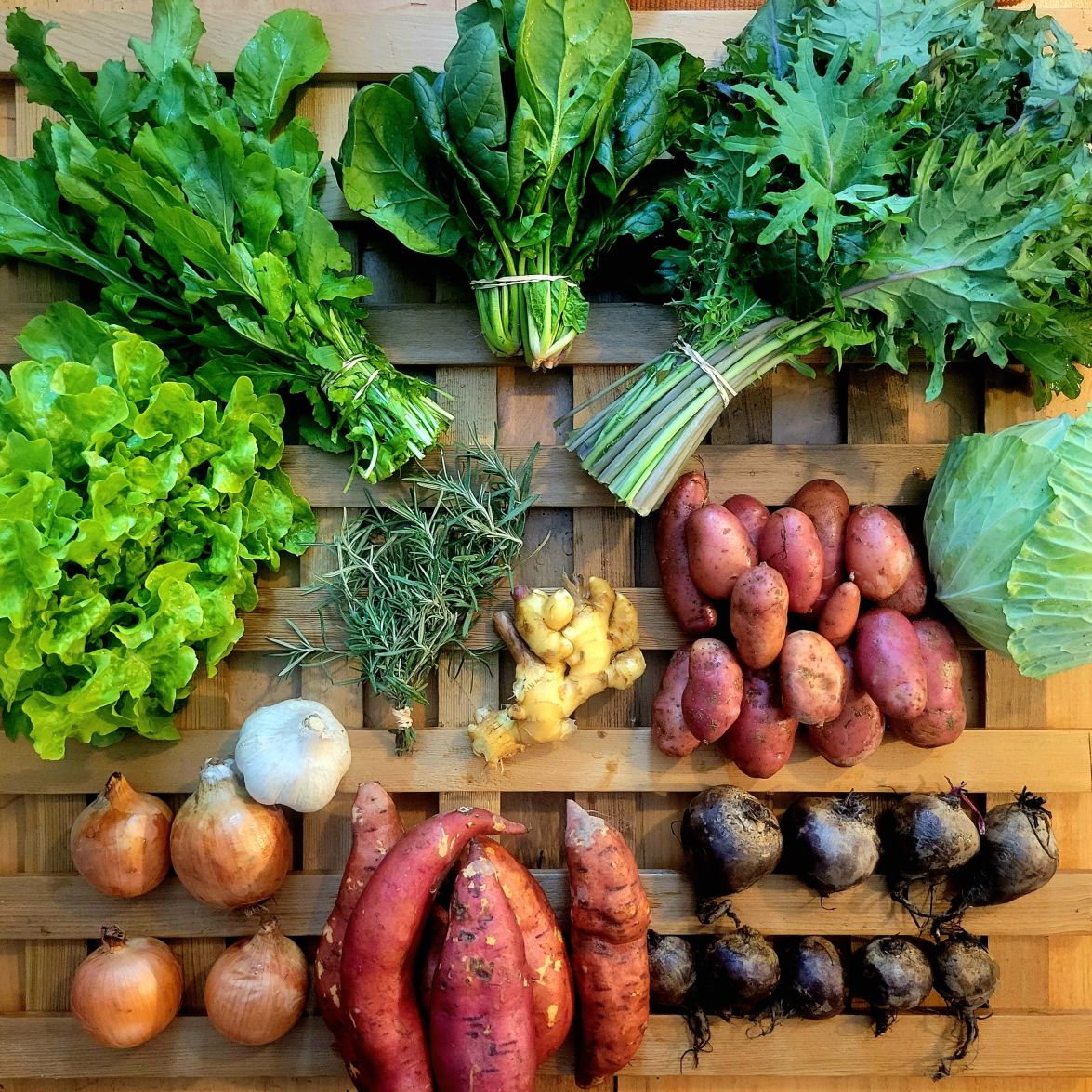 Sample Share Week 22